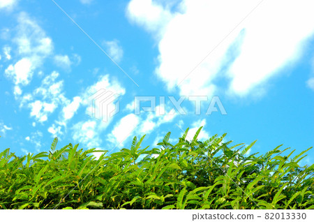 Autumn meadow and sky Autumn meadow and sky 82013330