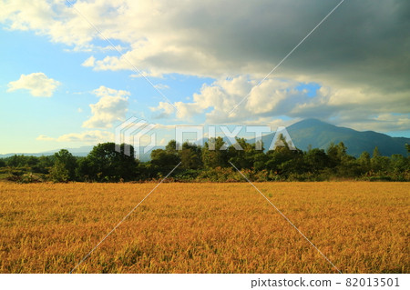 北海道二世谷稻田和羊蹄山 82013501