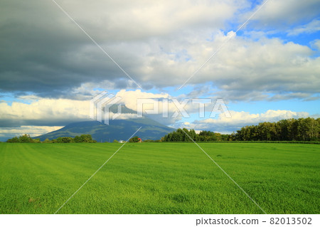 北海道二世穀草原和羊蹄山 82013502