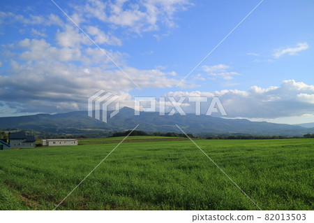 北海道二世穀草原和昆布岳 82013503
