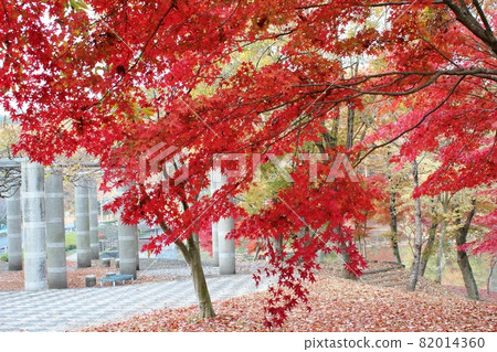 笠間市北山公園 紅楓之外的石柱 笠間市北山公園 紅楓之外的石柱 82014360