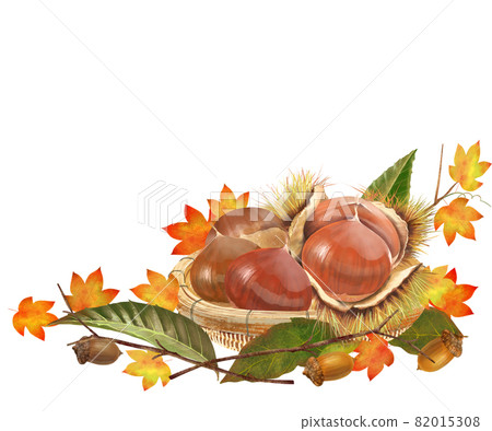 Assorted chestnuts in a basket, maple leaves, acorns, etc. Autumn taste vector White background Illustration material 82015308