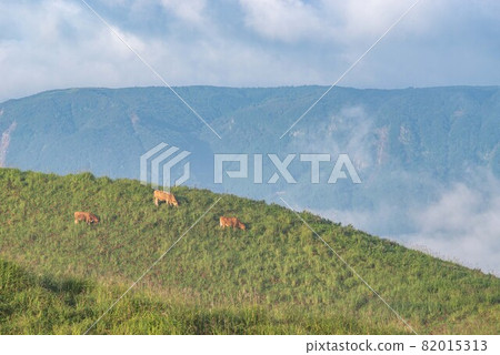 Sea of clouds in Aso in early autumn 82015313