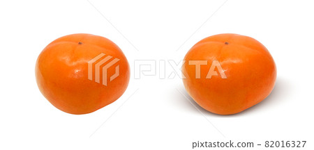 Persimmon oyster illustration real 82016327