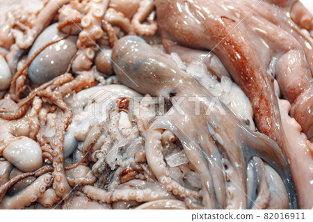 Fresh octopus on ice at the fish market 82016911