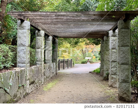 秋日遮陽架（岡崎市中央公園/愛知縣岡崎市） 82017131