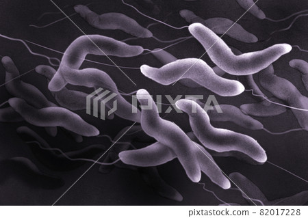 Image color of Campylobacter seen under a microscope 82017228