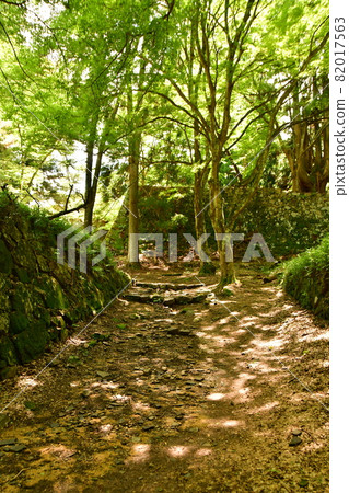 高取城005 高取城005 82017563