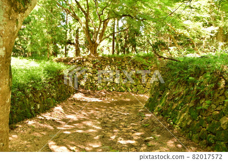 高取城009 高取城009 82017572