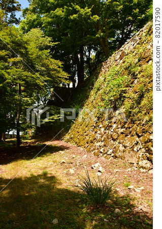 Takatori Castle 019 Takatori Castle 019 82017590