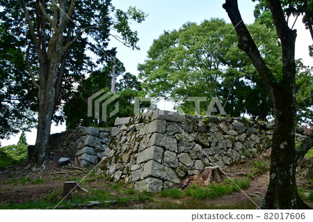 Takatori Castle 027 82017606