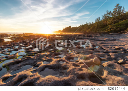 Botanical Beach on the West Coast of Pacific Ocean. Botanical Beach on the West Coast of Pacific Ocean. 82019444