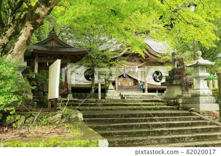 Otsu Shrine 9 Otsu Shrine 9 82020017