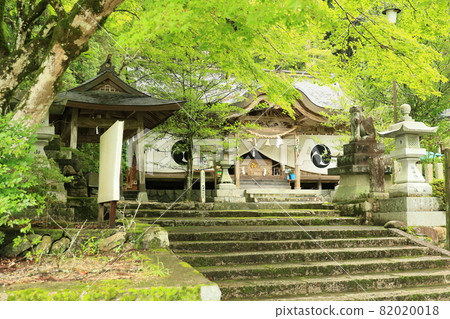 Otsu Shrine 10 82020018