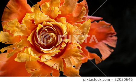 Freeze motion of red rose frozen and exploding. Freeze motion of red rose frozen and exploding. 82020646