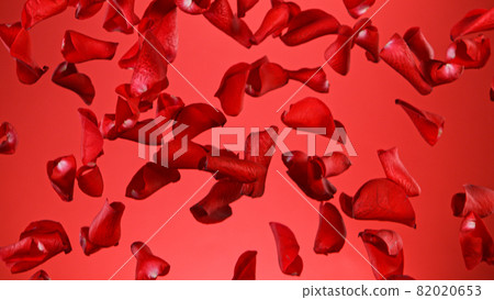 Freeze motion of flying rose petals. Freeze motion of flying rose petals. 82020653
