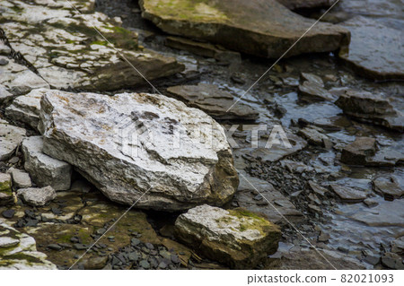 close-up of a bay bank 82021093