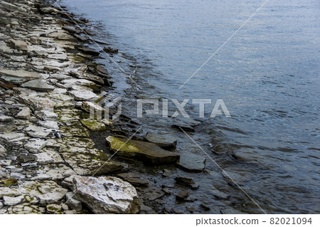 close-up of a bay bank 82021094