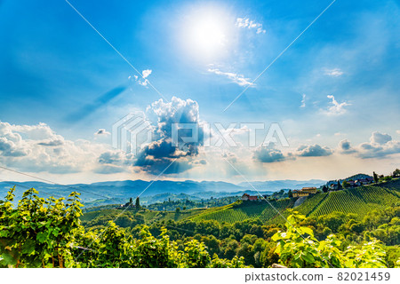 Hills Of vines on Vineyard In South Styria Region in Austria Hills Of vines on Vineyard In South Styria Region in Austria 82021459