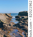 崎嶇的懸崖和大海 82021962