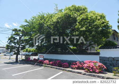 滋賀縣大津市正十來寺外牆比瀛寺 82022732