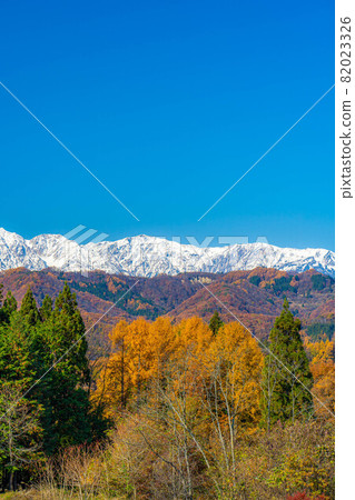 Three-tiered autumn leaves in the Northern Alps seen from Ogawa Village [Nagano Prefecture] 82023326