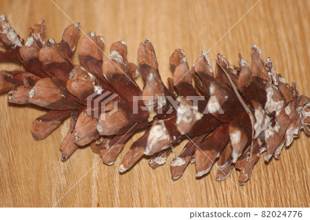 Close-Up of pine cone on wooden floor background Close-Up of pine cone on wooden floor background 82024776