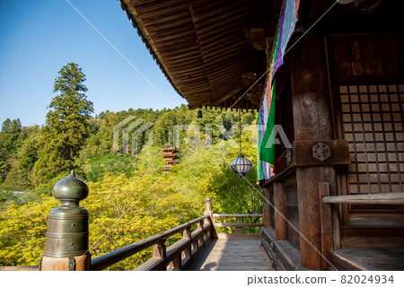 奈良縣櫻井市,綠樹成蔭的長谷寺正殿和五層寶塔 奈良縣櫻井市,綠樹成蔭的長谷寺正殿和五層寶塔 82024934