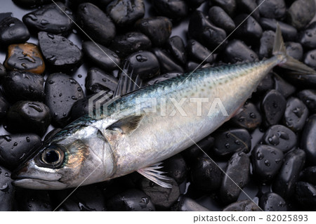 真正的鯖魚 82025893
