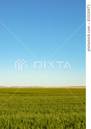 General view of countryside landscape with cloudless sky 82026971