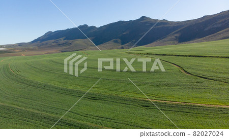 General view of countryside landscape with cloudless sky General view of countryside landscape with cloudless sky 82027024