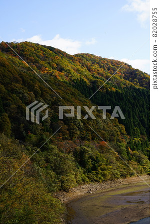 秋葉山樹、雪松和乾河 秋葉山樹、雪松和乾河 82028755