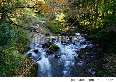 石川縣風景名勝荒俁峽 石川縣風景名勝荒俁峽 82028756