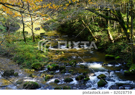 石川縣風景名勝荒俁峽 石川縣風景名勝荒俁峽 82028759
