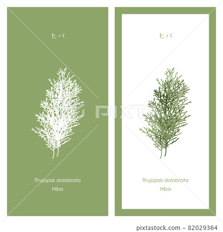 Hiba illustration and silhouette Hiba illustration and silhouette 82029364