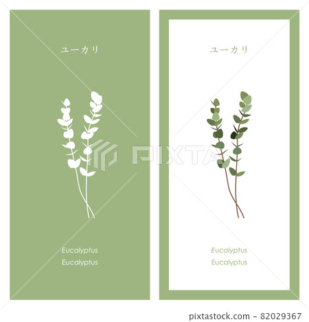 Eucalyptus illustrations and silhouettes 82029367