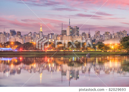 Sao Paulo skyline from Parque Ibirapuera park Sao Paulo skyline from Parque Ibirapuera park 82029693