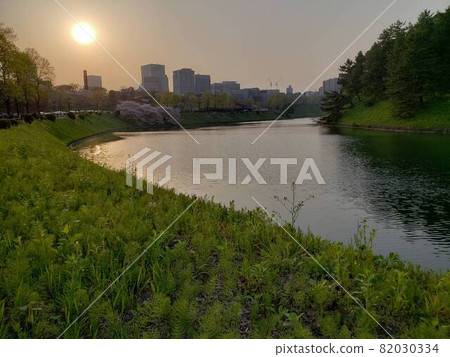 從東京都千代田區櫻田門附近看半藏門方向的春景和日落 [4月] 82030334