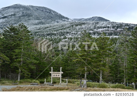 National highway No. 299 that crosses Northern Yatsugatake Mt. 82030528