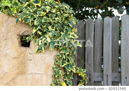 Casual garden landscape Casual garden landscape 82031540