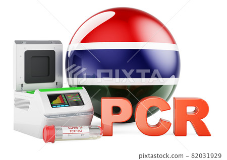 PCR test for COVID-19 in Gambia, concept. PCR thermal cycler with Gambia flag, 3D rendering 82031929