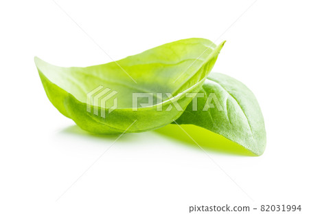 Fresh green basil leaves. Fresh green basil leaves. 82031994