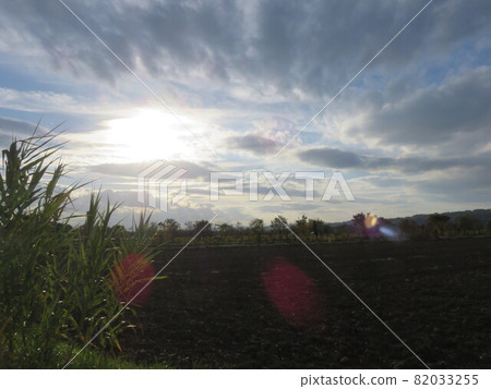 Cloudy landscape 82033255