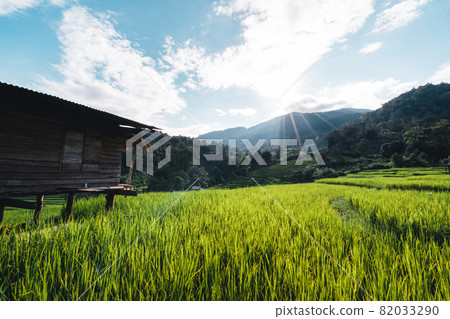 Rice fields on the mountain in the evening Rice fields on the mountain in the evening 82033290