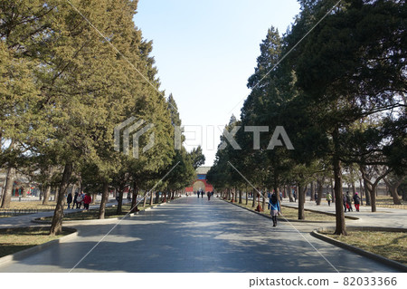 中國北京天壇公園的美麗風景 中國北京天壇公園的美麗風景 82033366
