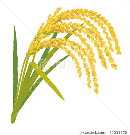Rice ear cut illustration 82033376