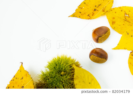 Autumn taste chestnuts, squid and fallen leaves 82034179