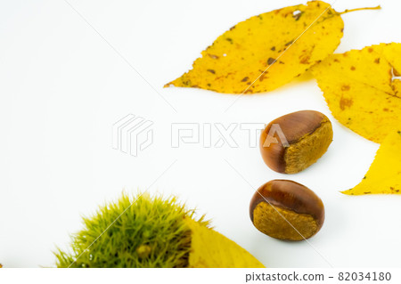 Autumn taste chestnuts, squid and fallen leaves 82034180