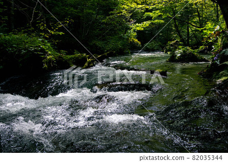 Oirase Gorge between Ishigedo and Naked Watabashi Oirase Gorge between Ishigedo and Naked Watabashi 82035344