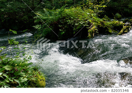 Oirase Gorge between Ishigedo and Naked Watabashi Oirase Gorge between Ishigedo and Naked Watabashi 82035346